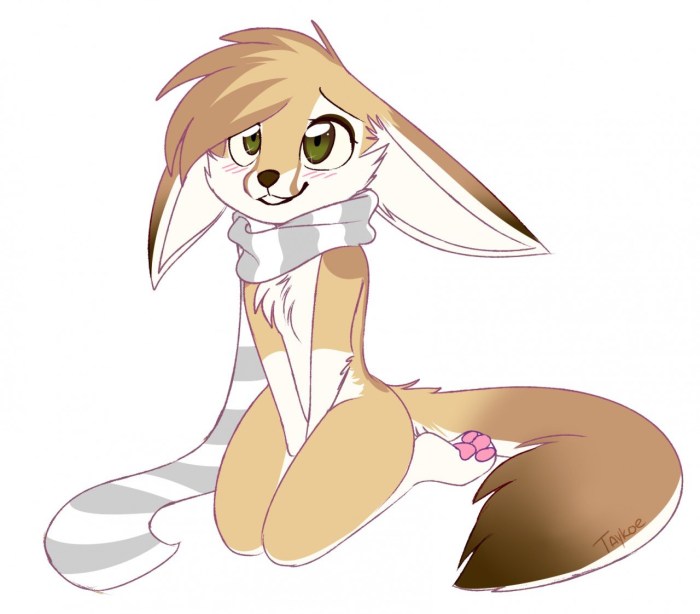 Furry Fennec