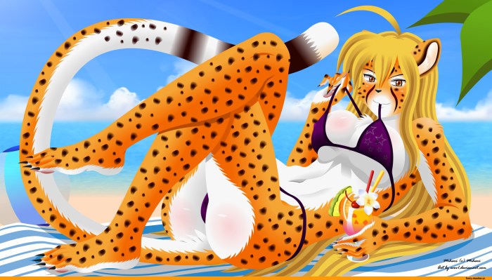Furri cheetah Mihari
