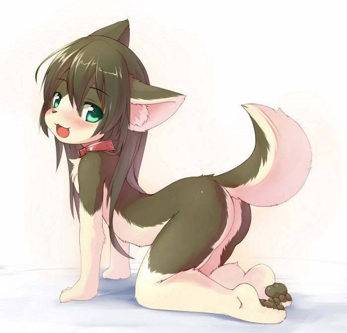 Furry Lolli Fox Kemono