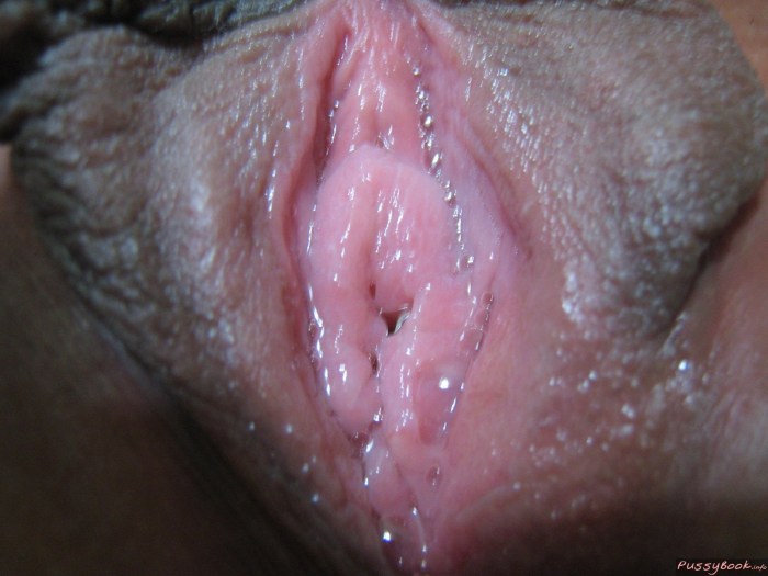 Wet Vagina close -up