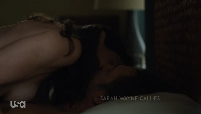 Sarah Wayne Callis Prison Break XXX