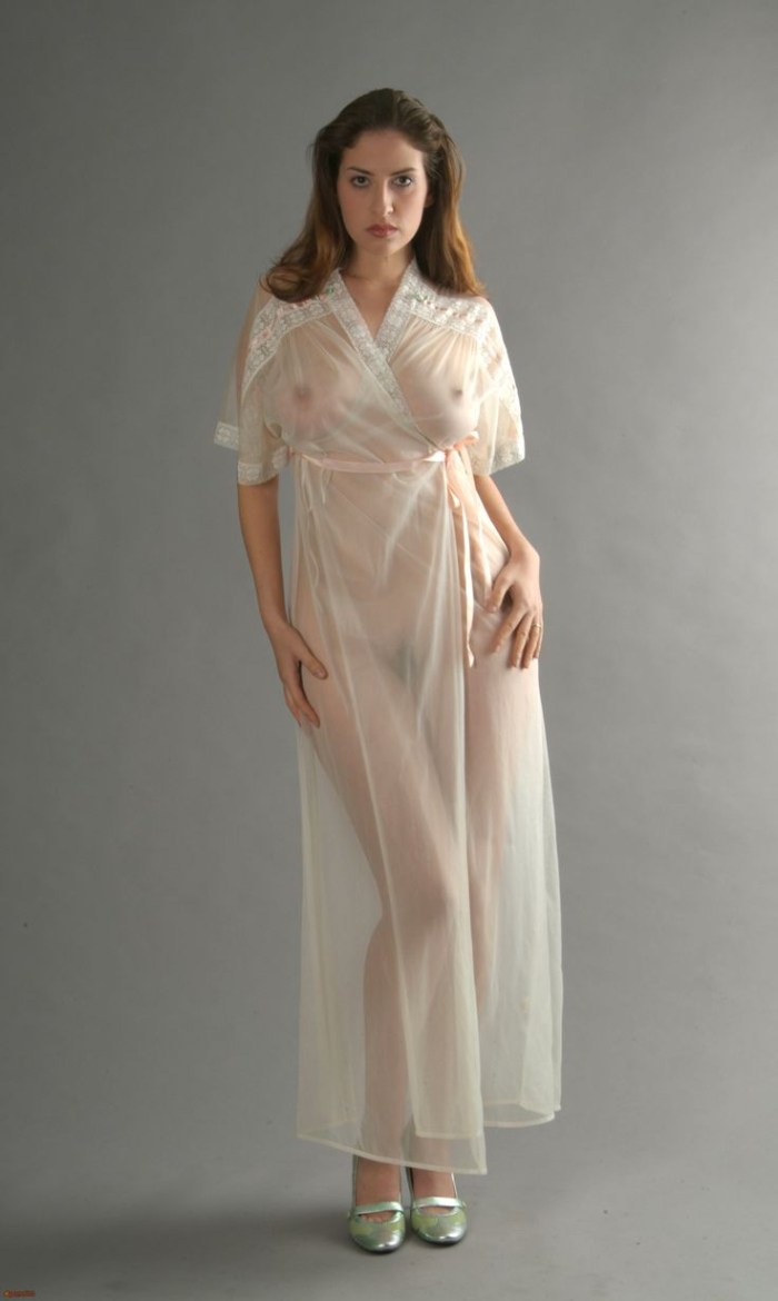 Sheer Nightgown Vintage
