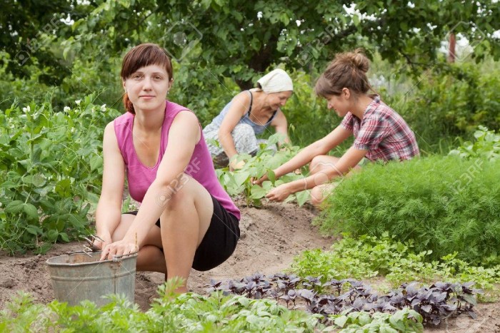 Wife in the garden