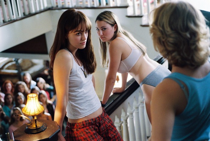Domino 2005 Film