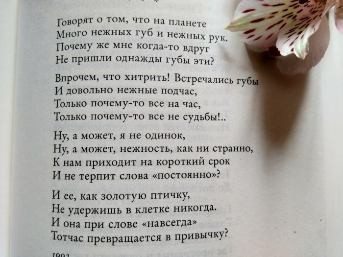 Hedgehog in the fog quotes