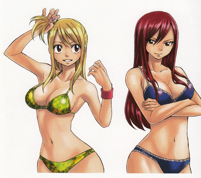 Lucy Hartfilia and Elsa