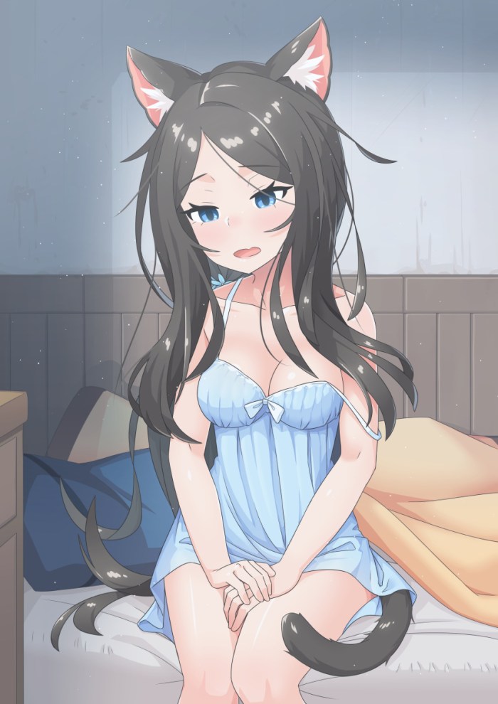 Anime cats