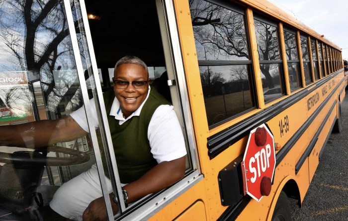 Bus Driver Simulator 2019 buses