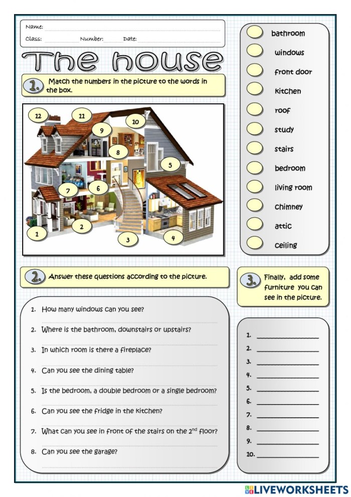 Fill in the Words from the Box