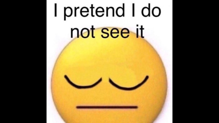 MEMM I cannot see