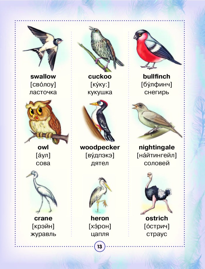 A couple of cuckoos