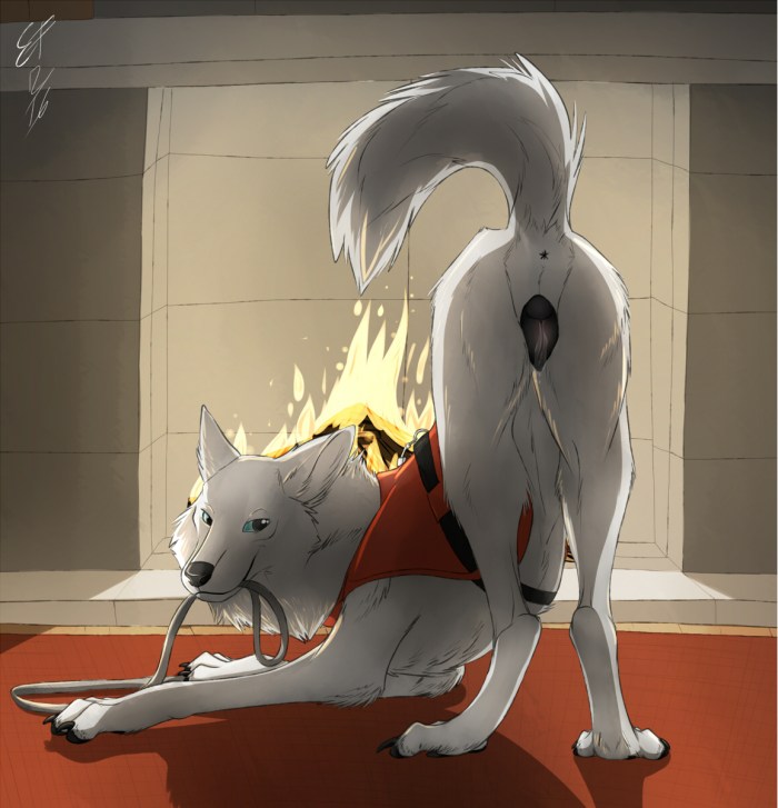 Ruzh bat and mouse XXX Tails BDSM