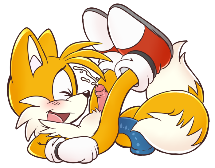 Fox Zoui Sonic Boom Hentai Tails