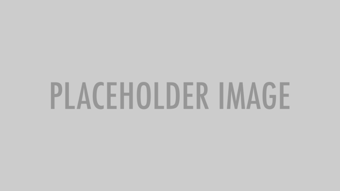 PLASHOLDERS photo