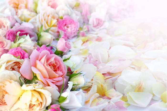 Congratulations on good morning