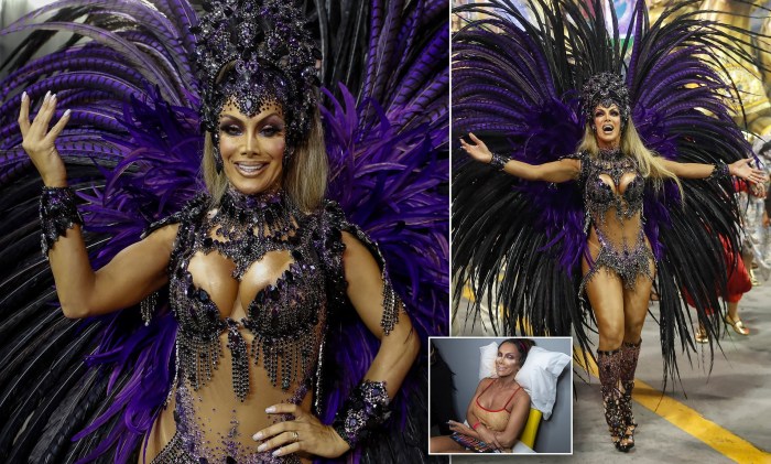 Carnival in Rio de Janeiro 18 +