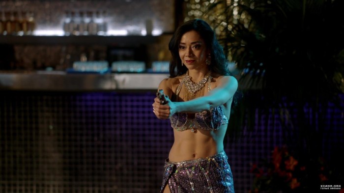 Dana Garcia in pornography