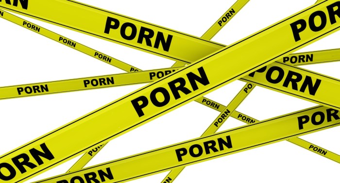 Servers with children's pornography