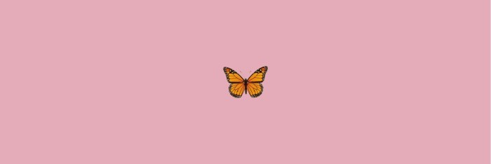 Butterfly on a pink background of aesthetics