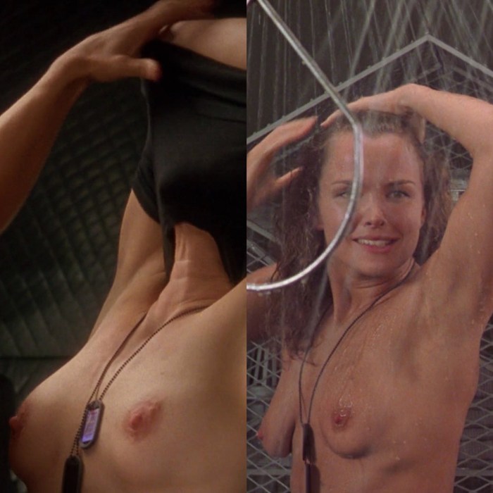Dina Meyer Star landing naked