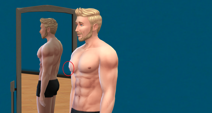 Sims 4 Basque
