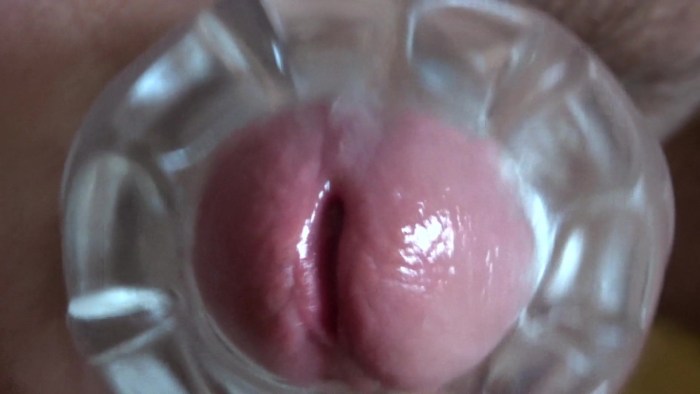 Women's vagina from the inside