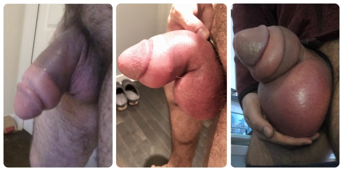 Bdsm vacuum pump for a member