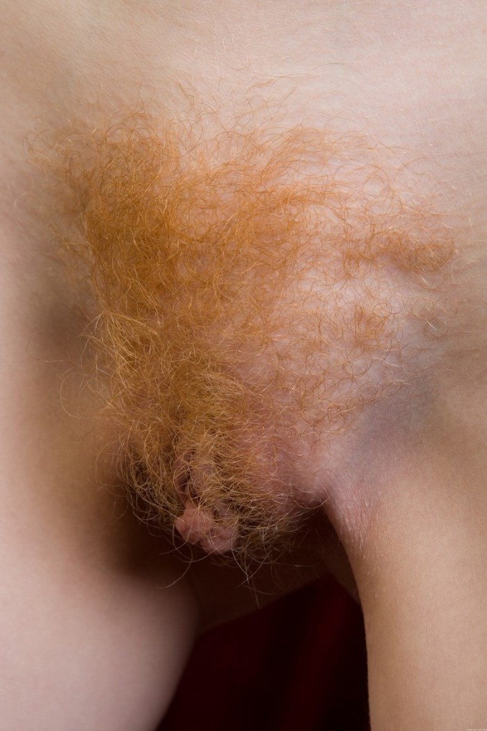 The transformation of the genitals