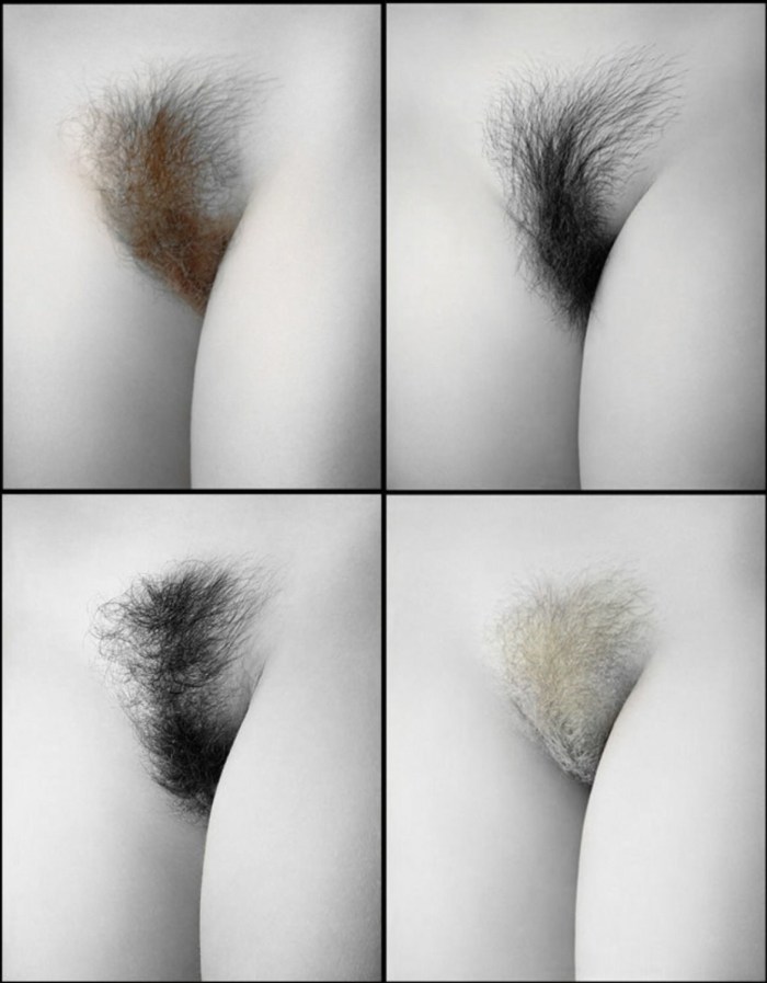 Explification of female pubis