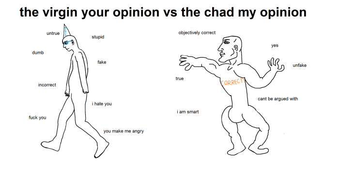 Your Opinion My Opinion Meme