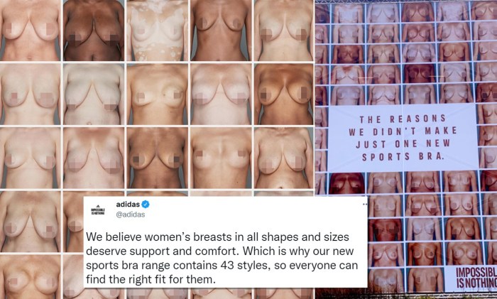 Beautiful boobs in a bra