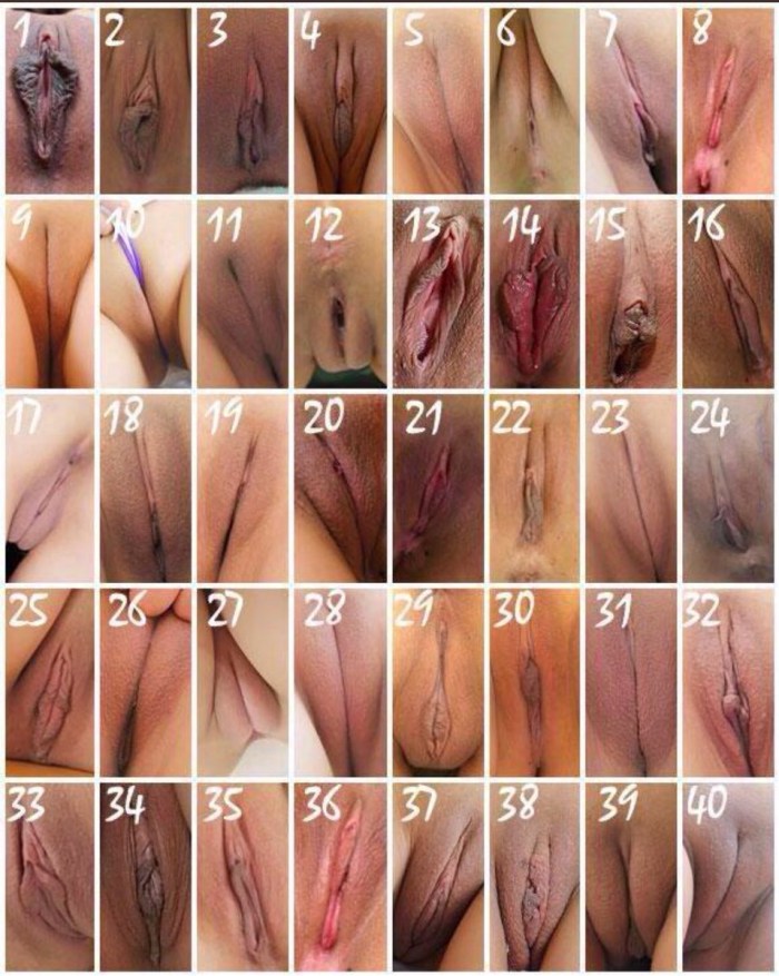Types of pussies