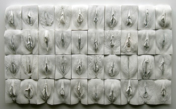 Varieties of pussies