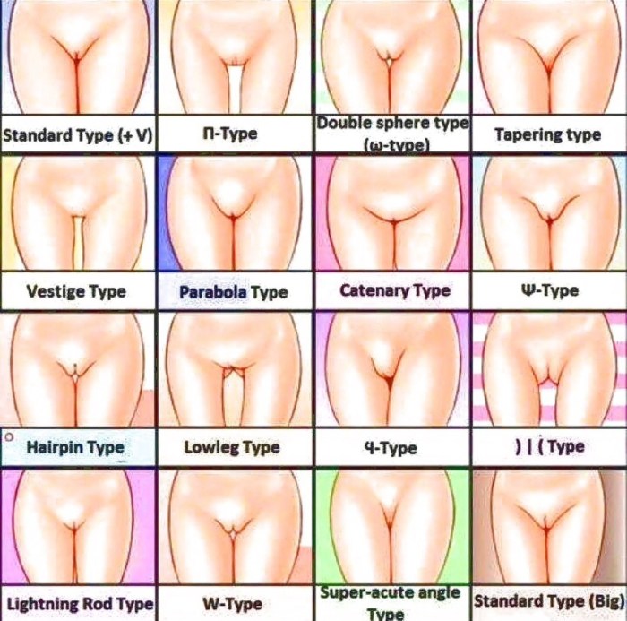 Beautiful female clitoris