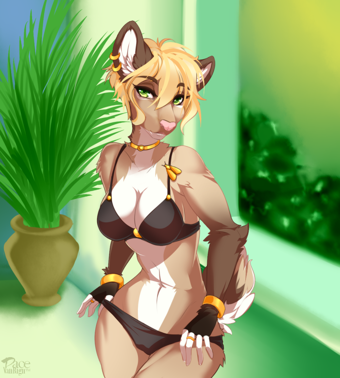 Furri Big cats
