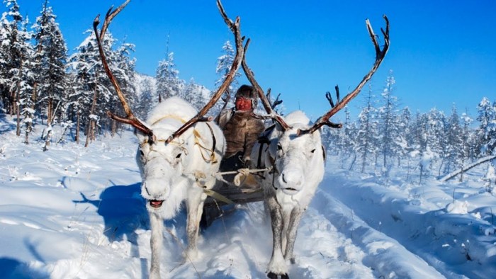 The dunes of Tukulans Yakutia