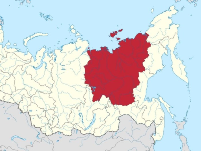 Republic of Sakha Yakutia Mammoth bones