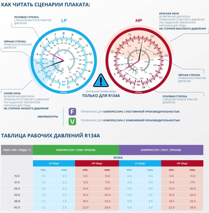 Roxy and Gregory fnap