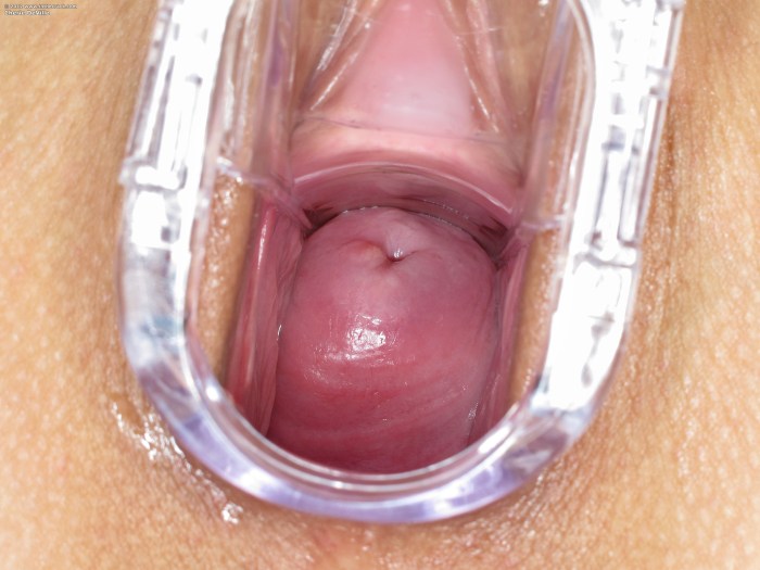 Cum in the vagina