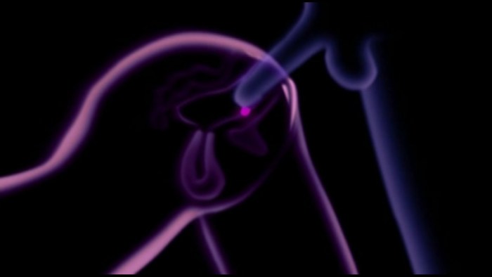 Roxy Rey Anal Expande