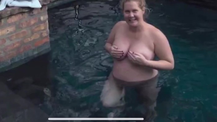 Amy Schumer naked in films