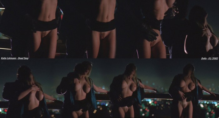 Julia Roberts Pornography