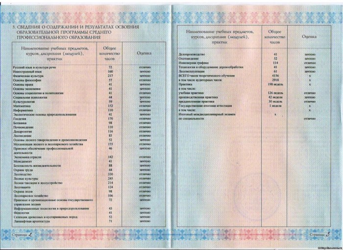 Zabina Olesya Mikhailovna