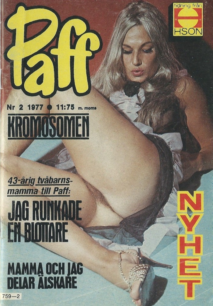 Retroerotic Penthouse