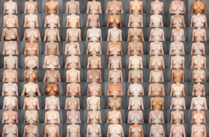 Different forms of female boobs
