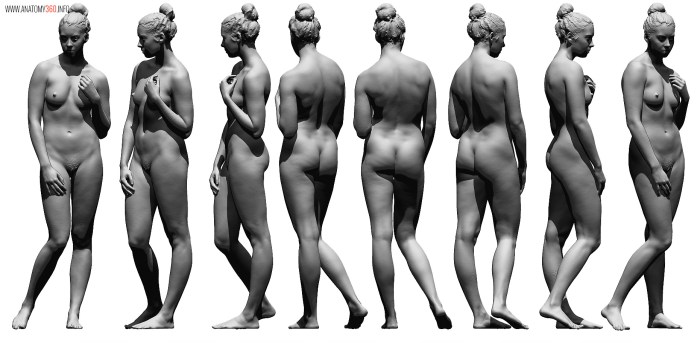 Naked women from different angles