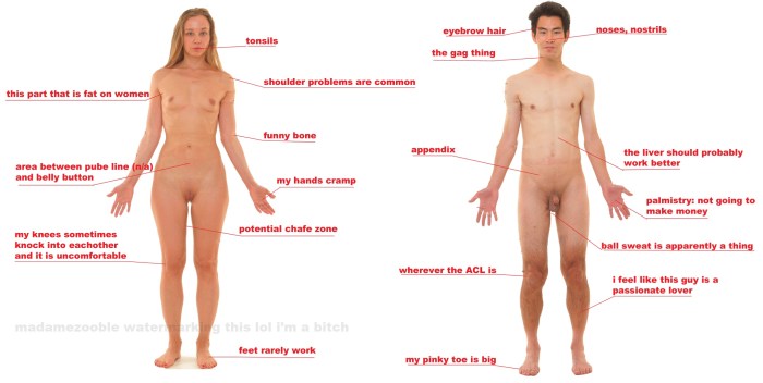 Human Body Women Full with Sex
