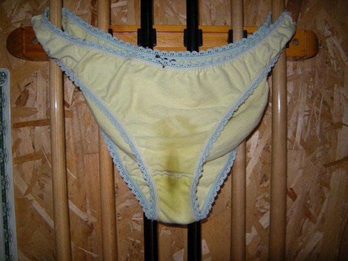 Male penis in shorts