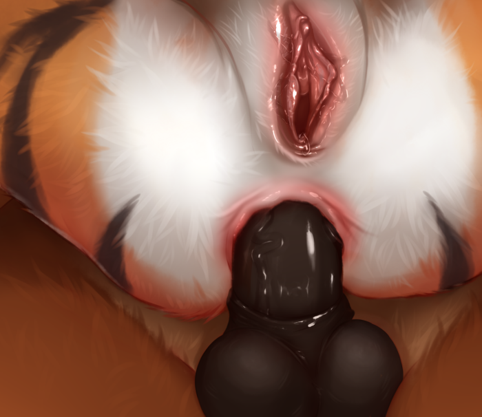 Furri anus