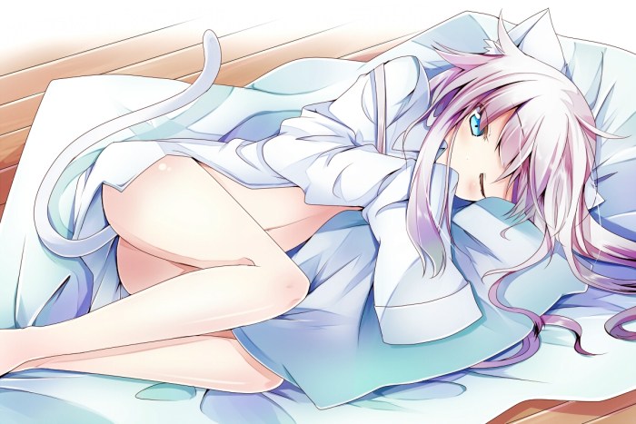 Anime Sleeping Neko
